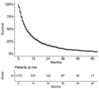 J Cancer Image