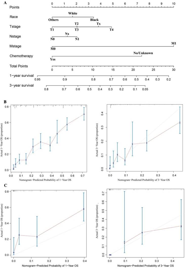 J Cancer Image