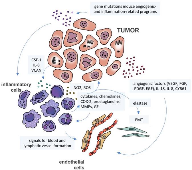 J Cancer Image