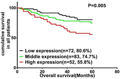 J Cancer Image