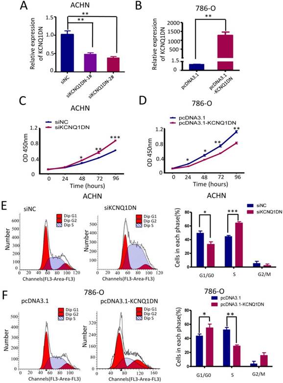 J Cancer Image