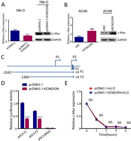 J Cancer Image