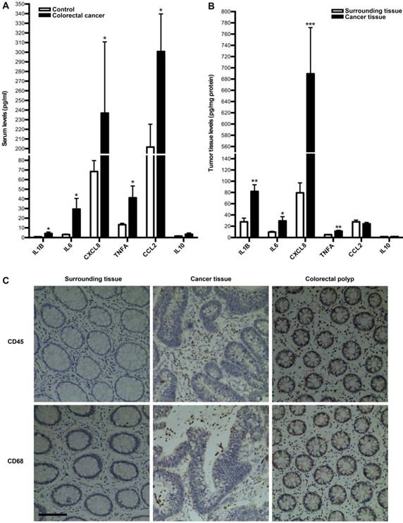 J Cancer Image