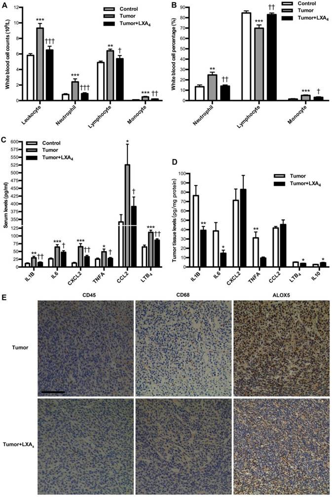 J Cancer Image