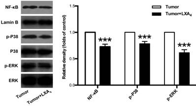 J Cancer Image