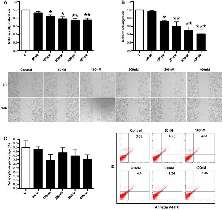 J Cancer Image