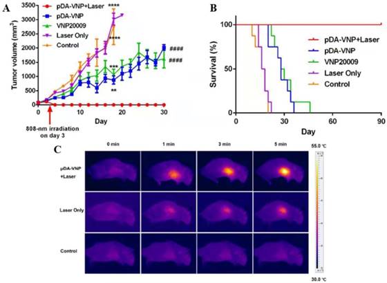 J Cancer Image