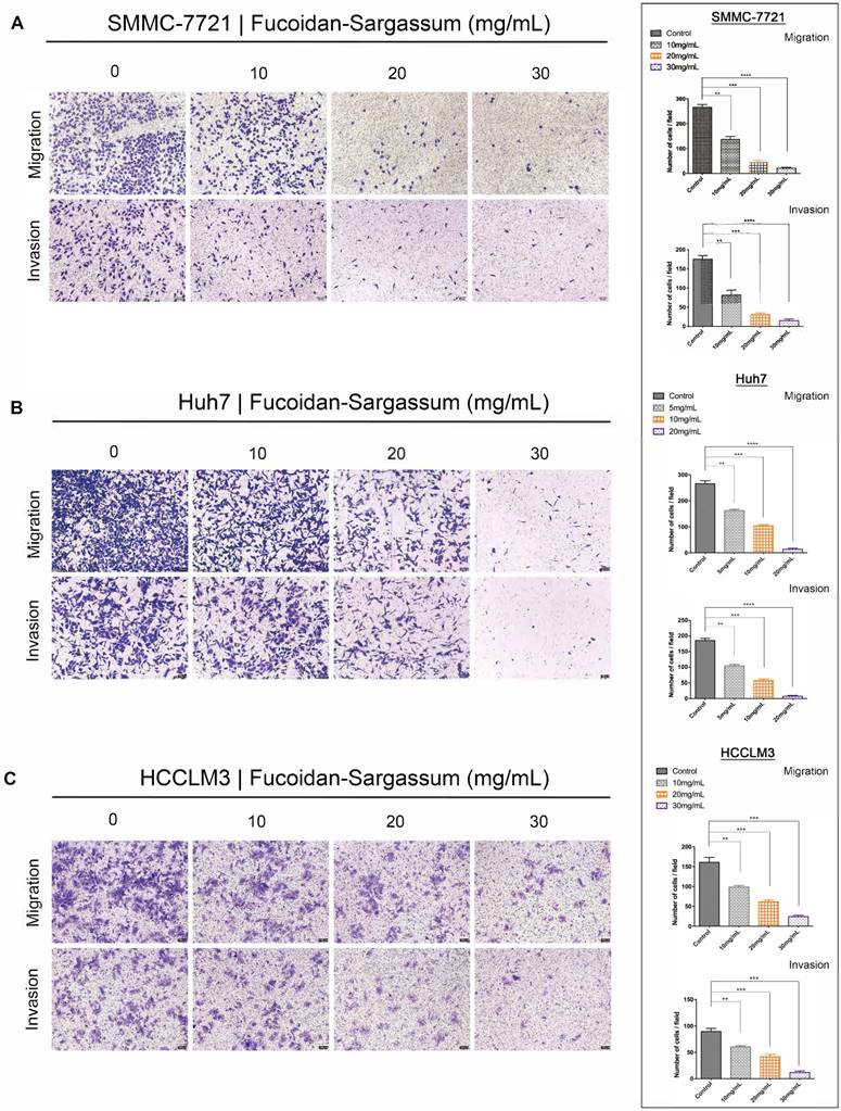 J Cancer Image