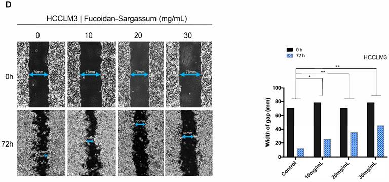 J Cancer Image