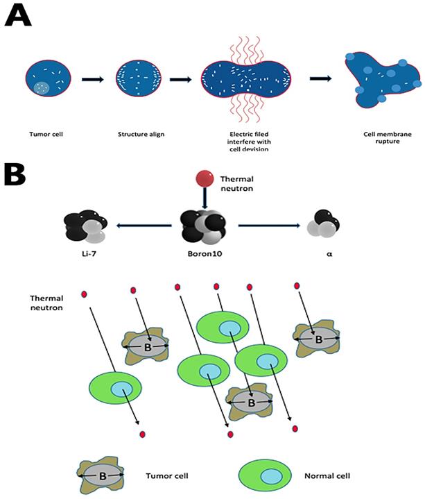 J Cancer Image