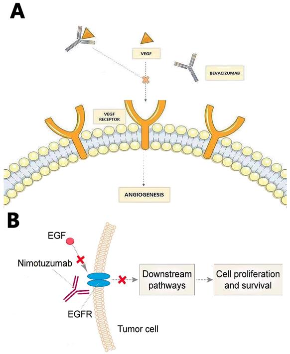 J Cancer Image