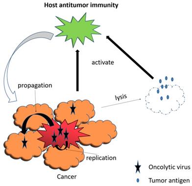 J Cancer Image