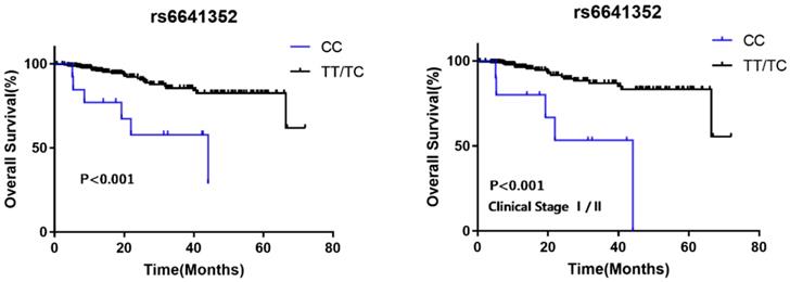 J Cancer Image