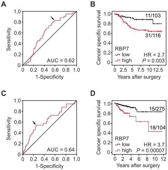 J Cancer Image