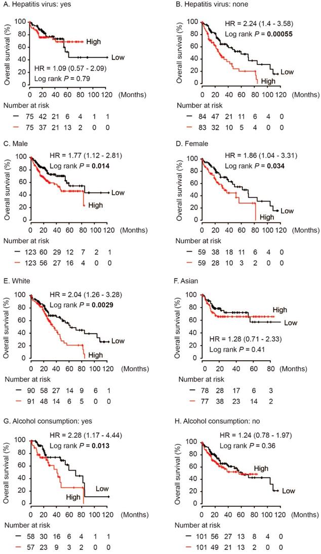 J Cancer Image