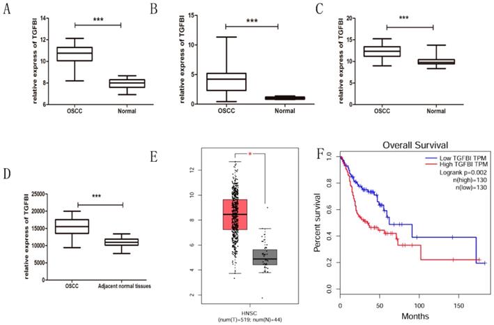 J Cancer Image