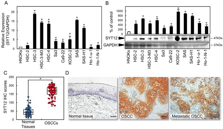 J Cancer Image