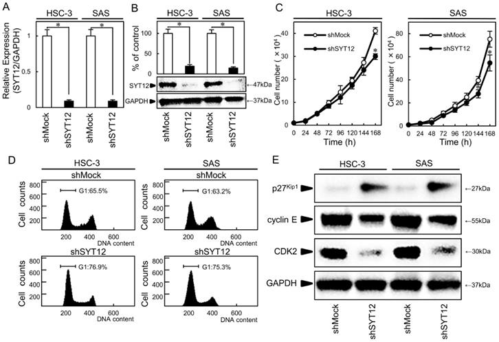 J Cancer Image