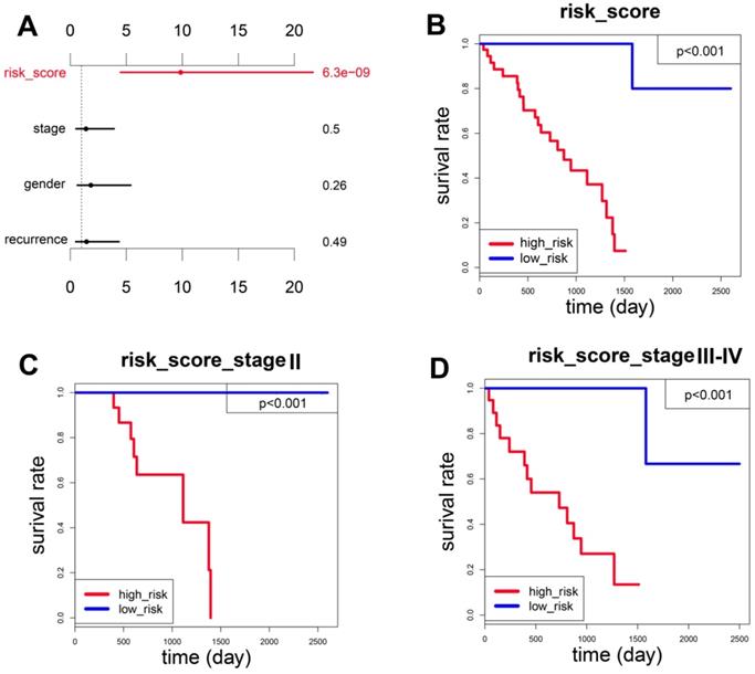 J Cancer Image