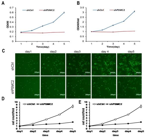 J Cancer Image