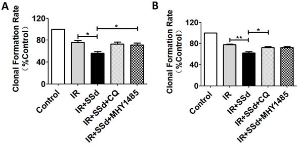 J Cancer Image