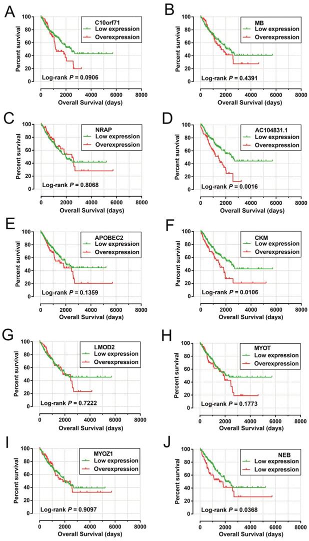 J Cancer Image