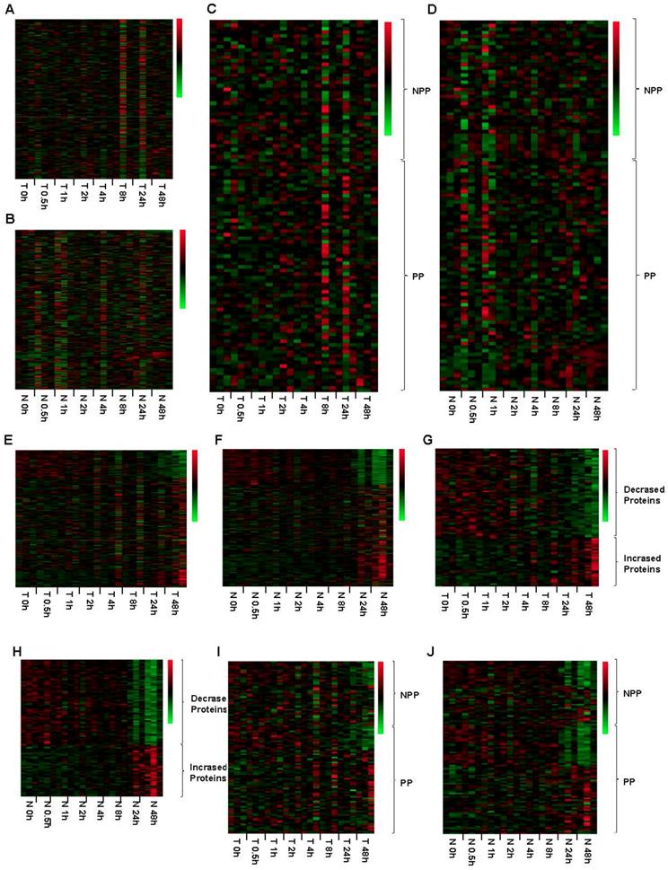 J Cancer Image