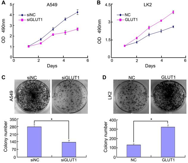 J Cancer Image