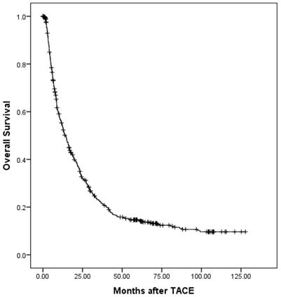 J Cancer Image