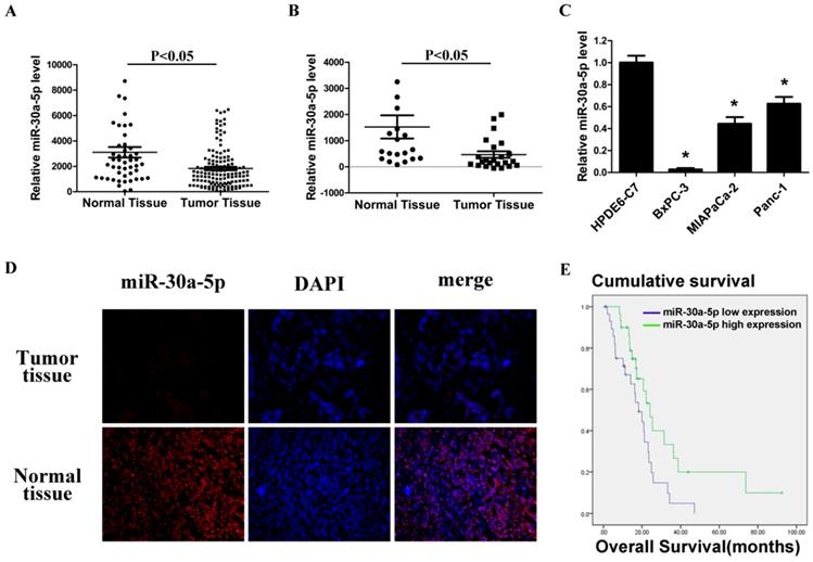 J Cancer Image