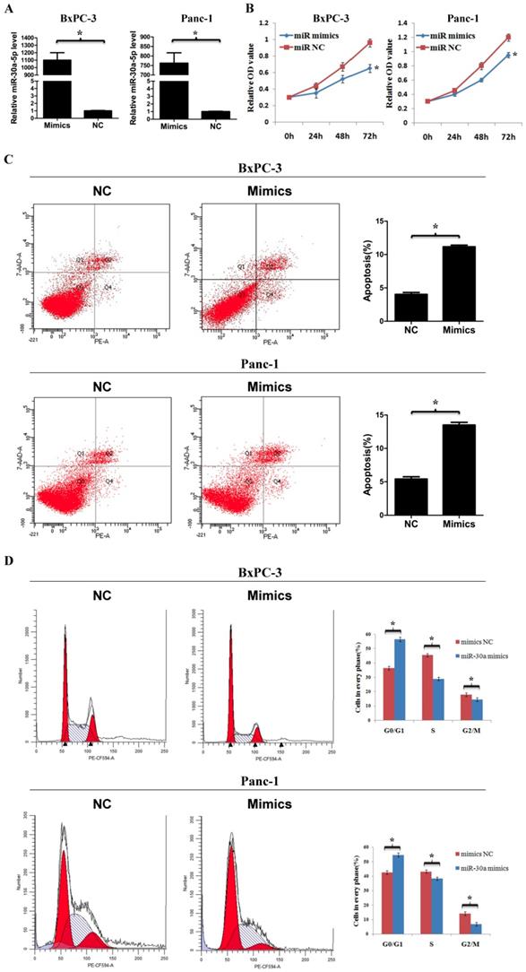 J Cancer Image