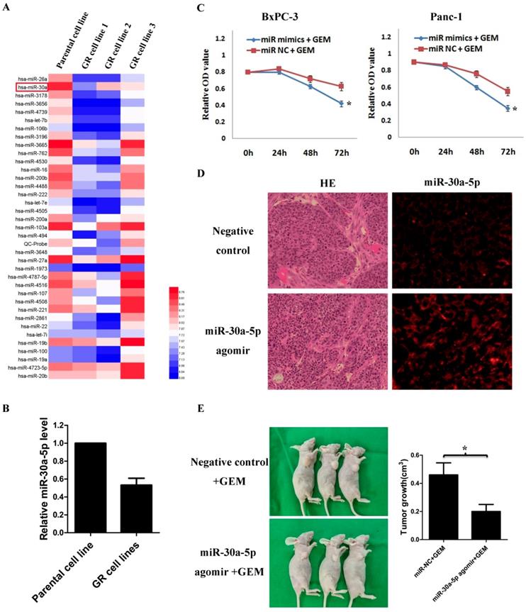 J Cancer Image