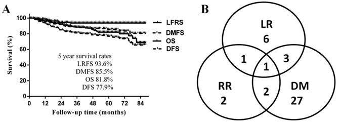 J Cancer Image