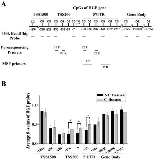 J Cancer Image