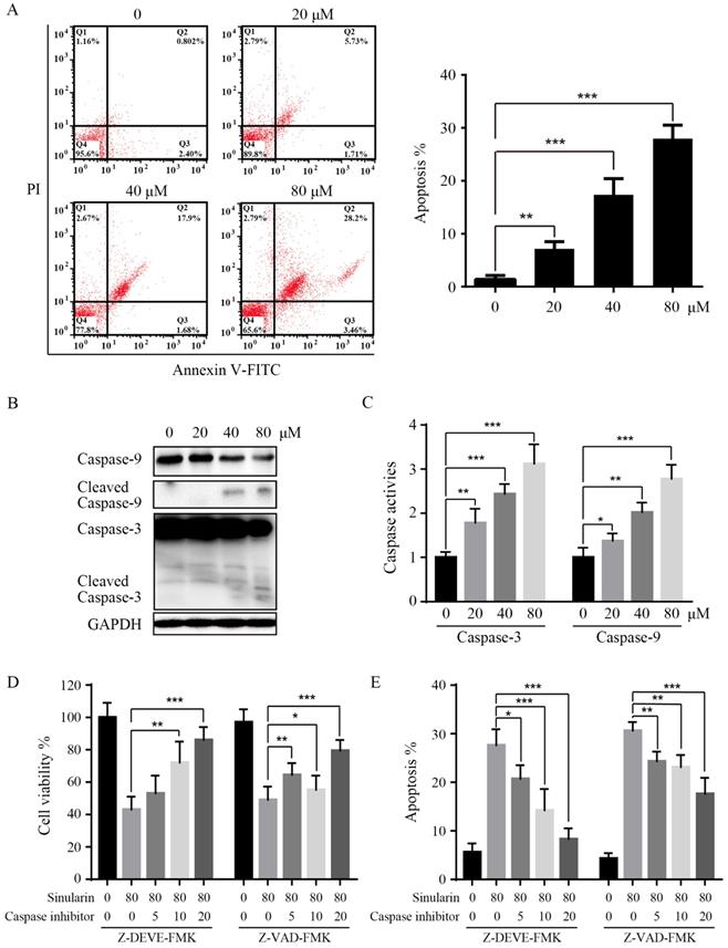 J Cancer Image