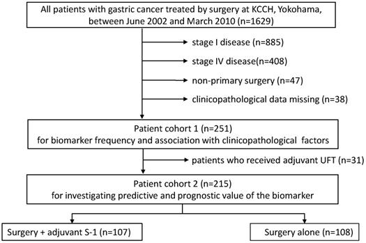 J Cancer Image