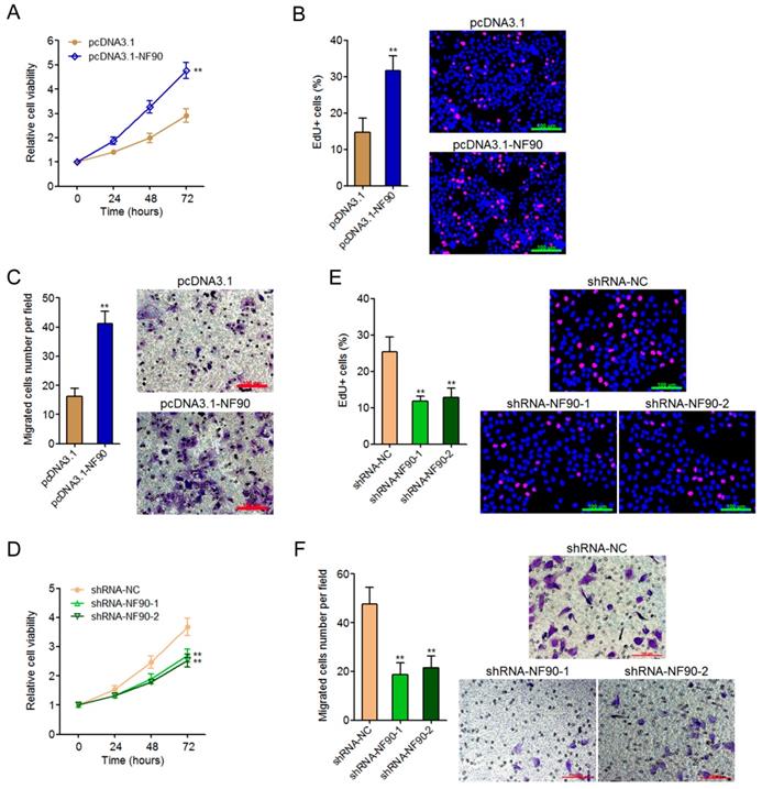 J Cancer Image