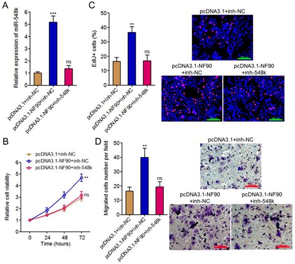 J Cancer Image