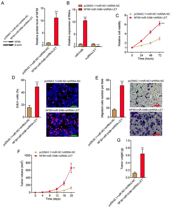 J Cancer Image