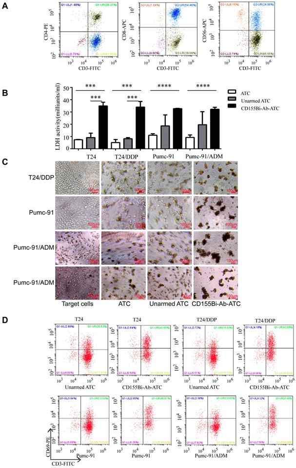 J Cancer Image