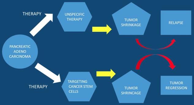 J Cancer Image