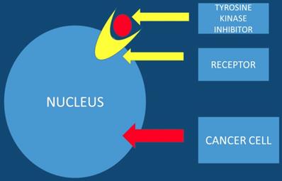 J Cancer Image