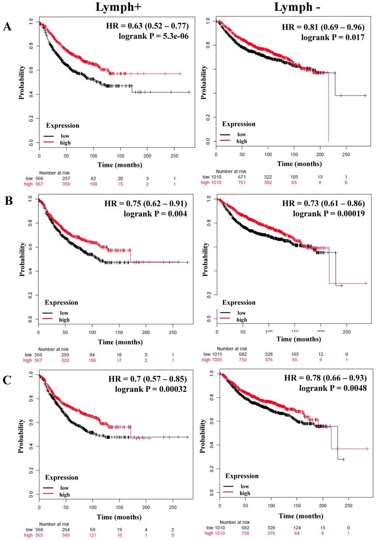 J Cancer Image