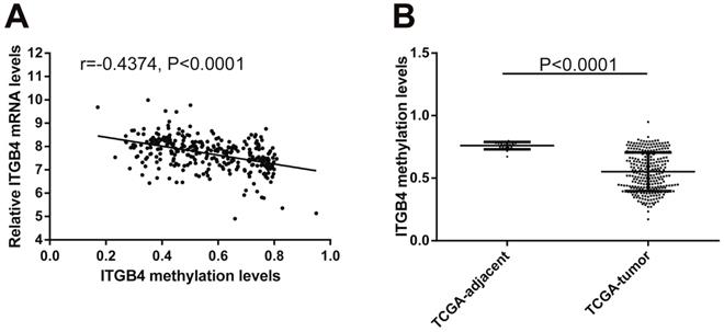 J Cancer Image