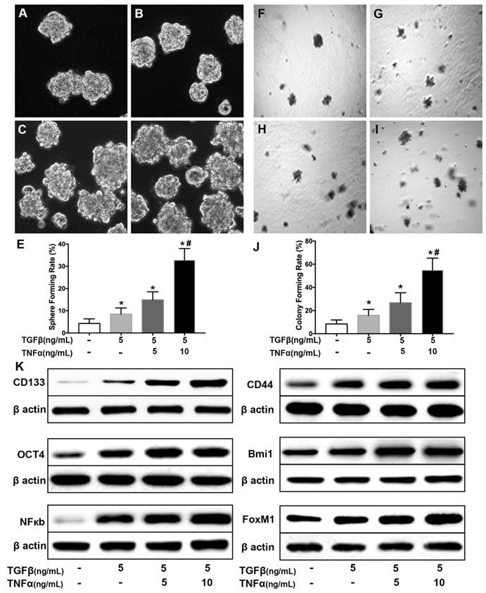 J Cancer Image