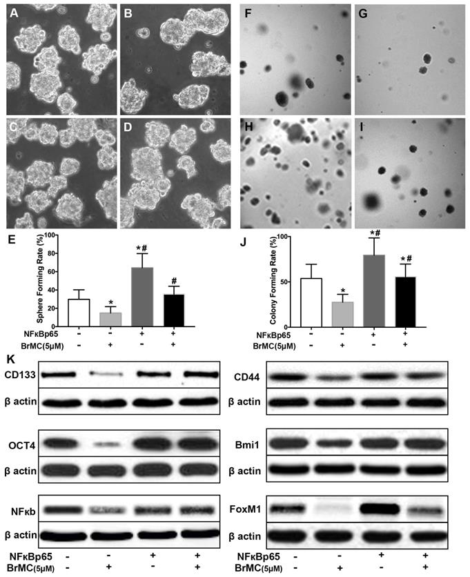 J Cancer Image