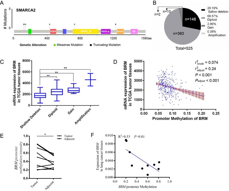 J Cancer Image