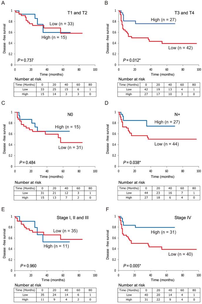 J Cancer Image