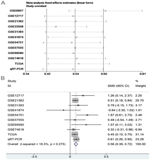 J Cancer Image