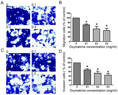 J Cancer Image